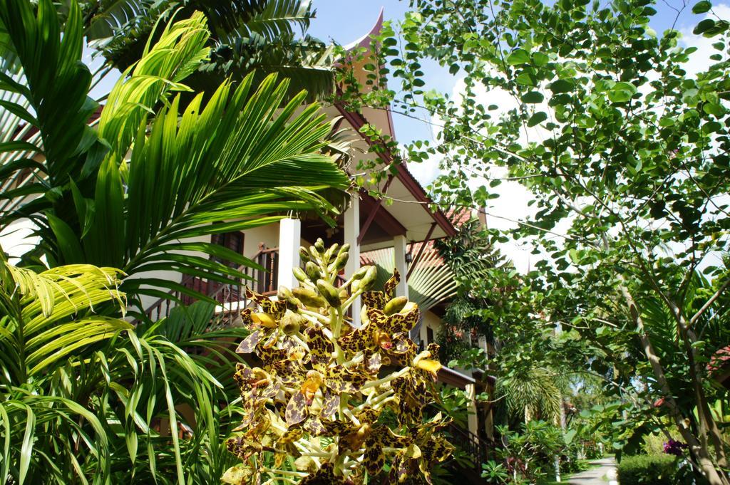Palm Village Rawai Exterior foto